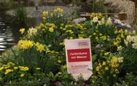 Beetgestaltung für Gartenmessen Veronika Walz 