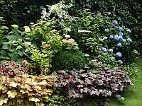 Gartenspaziergang in Wien Privatgarten
