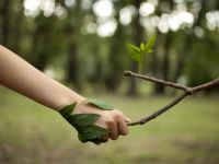 KoooNa Kontakt Kommunikation Kooperation mit der Natur