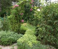 Kräuterseminar Gartenbuschule Schönbrunn